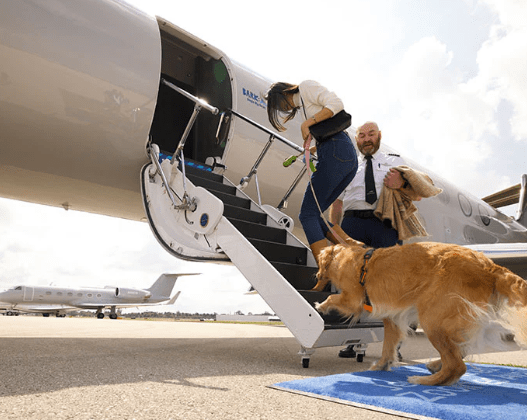 Courtesy Bark Air