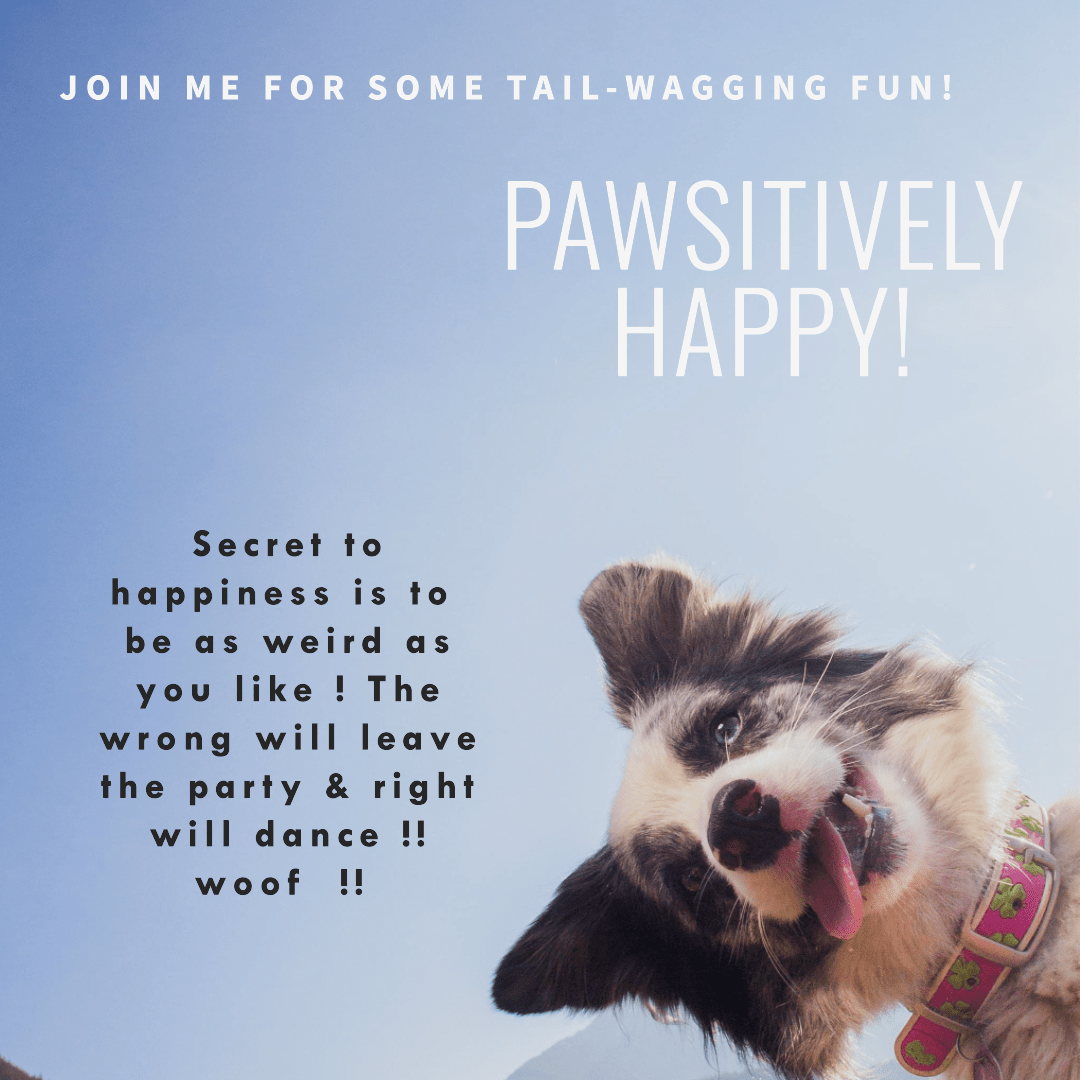 Pawsitively Happy